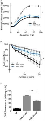 Drug Repurposing for Duchenne Muscular Dystrophy: The Monoamine Oxidase B Inhibitor Safinamide Ameliorates the Pathological Phenotype in mdx Mice and in Myogenic Cultures From DMD Patients